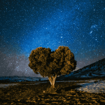 dumnezeu al creatiei si al promisiunilor