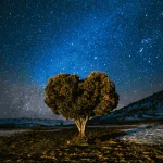 dumnezeu al creatiei si al promisiunilor